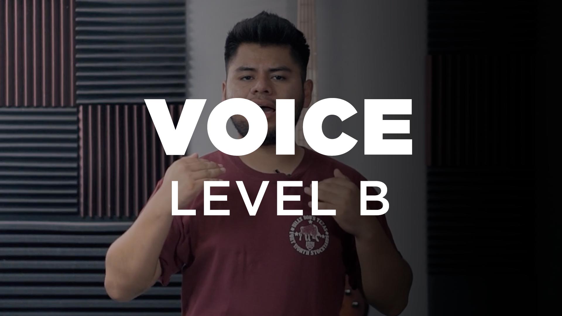 Voice Level B