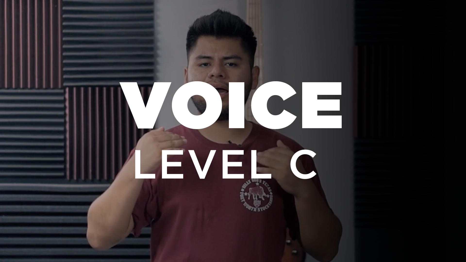 Voice Level C